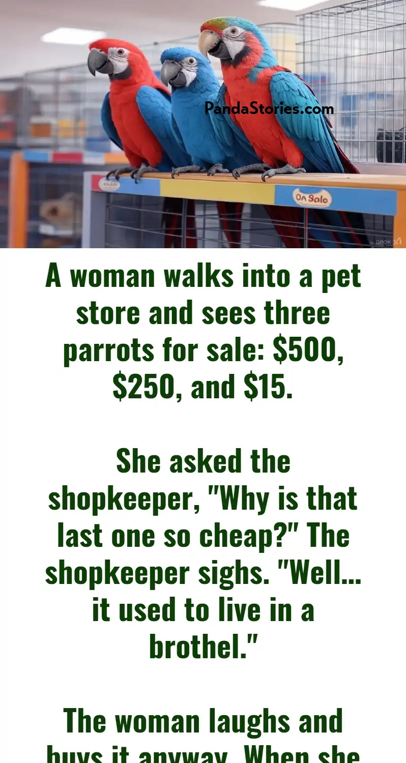 parrot on sale joke
